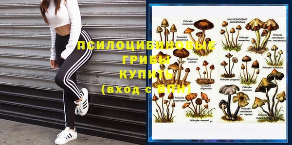 герыч Абинск