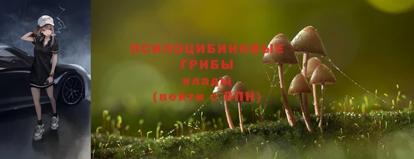 молекула духа Алексеевка