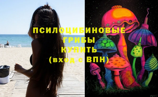 spice Абаза
