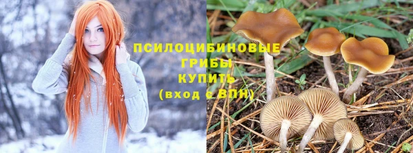герыч Абинск