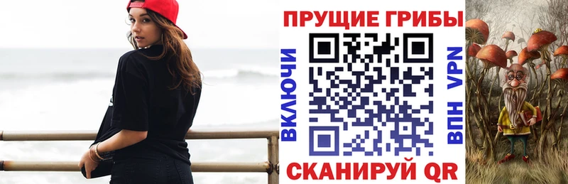 Псилоцибиновые грибы Cubensis  купить наркоту  Ковдор 